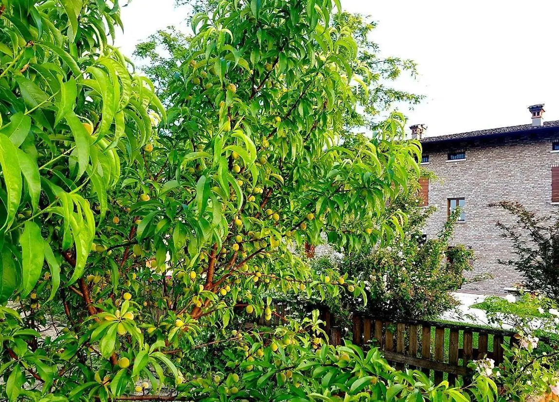 La Garzaga Turismo Rurale Ceresara 0*,